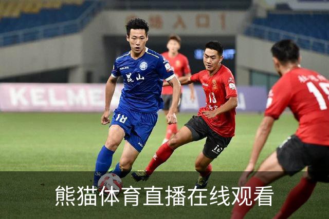 熊猫体育直播在线观看公司介绍
